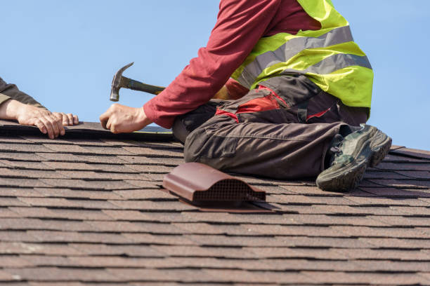 Best Roof Waterproofing Services  in Bridgeport, IL